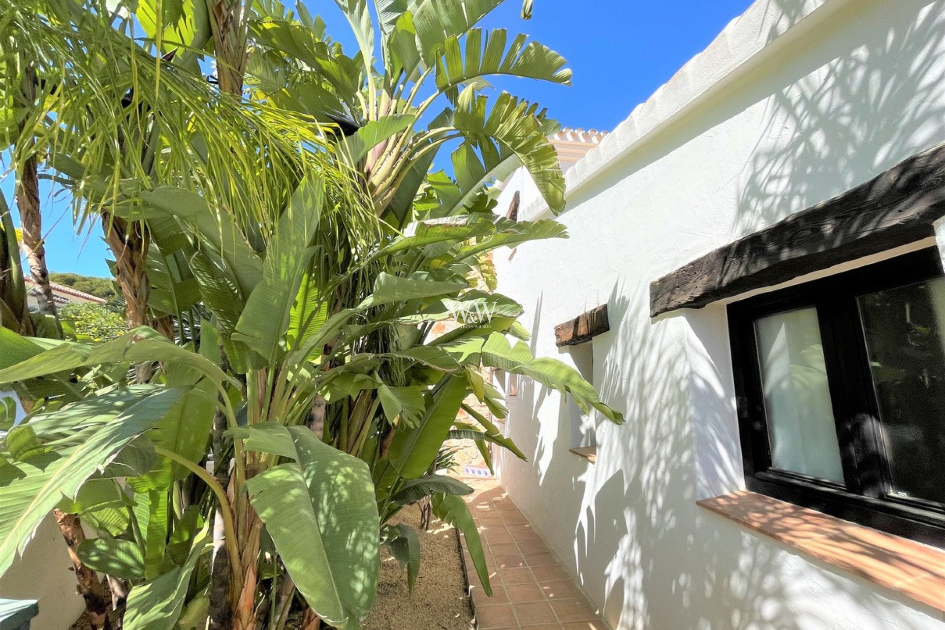 arbres tropicaux dans une finca unique à vendre près de Moraira